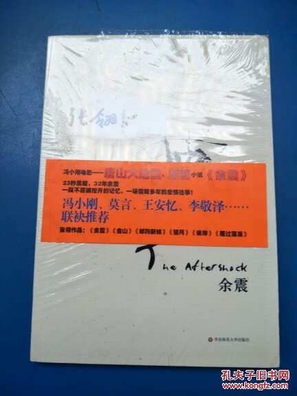 张翎小说精选五:余震