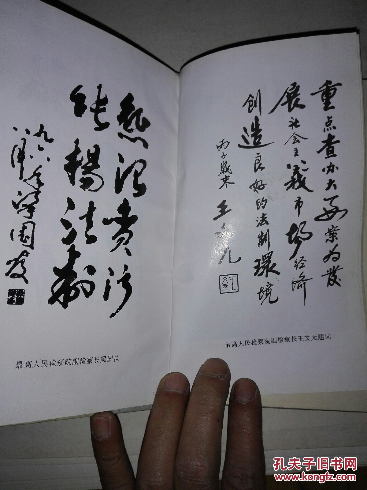 铁血铸剑:湖南省十佳反贪局长写真_主编:李志辉_孔夫子旧书网