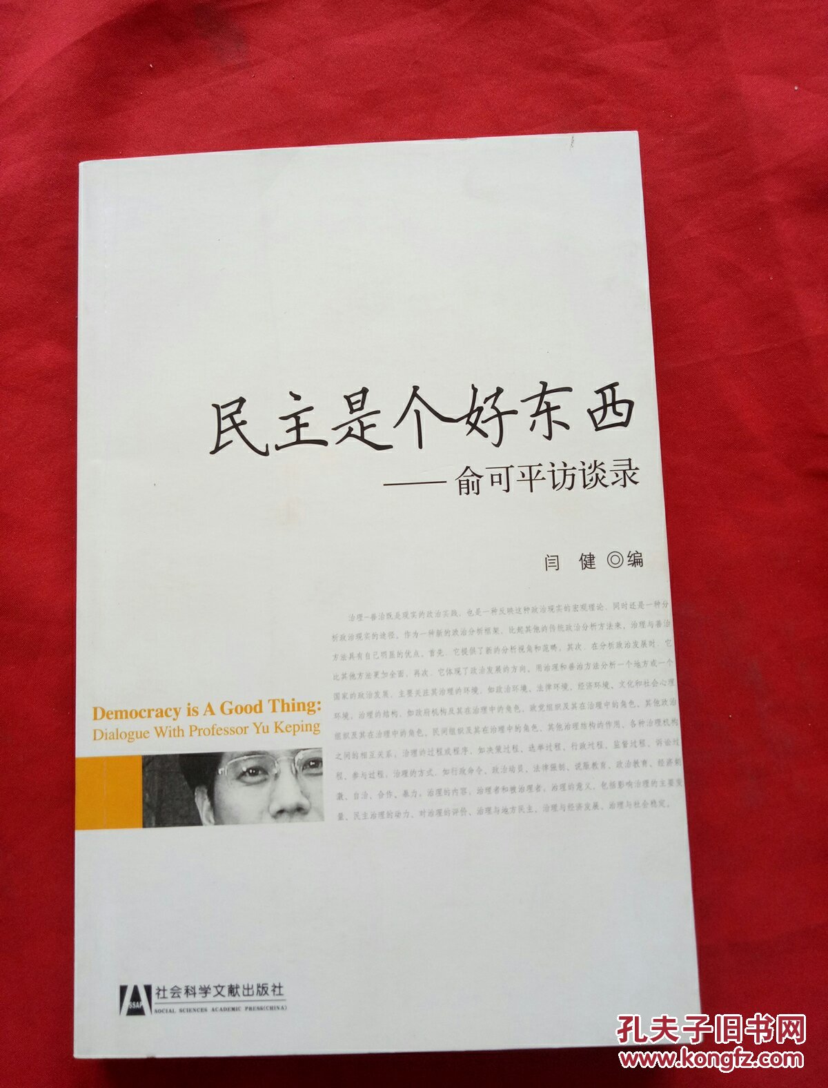 民主是个好东西 俞可平访谈录