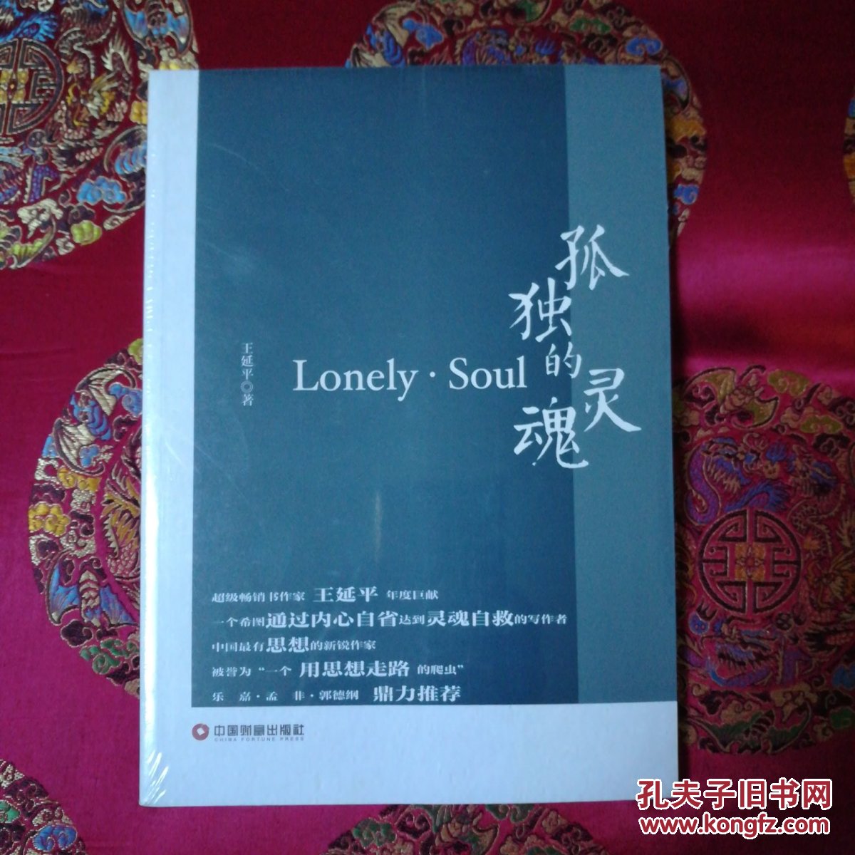孤独的灵魂:lonely·soul