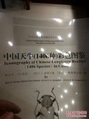 《中国天牛名录》底片30x22，100张，中山大学华教授底稿