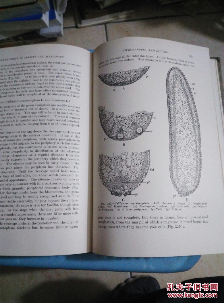 胚胎学的昆虫多足类embryologyofinsectsandmyriapods