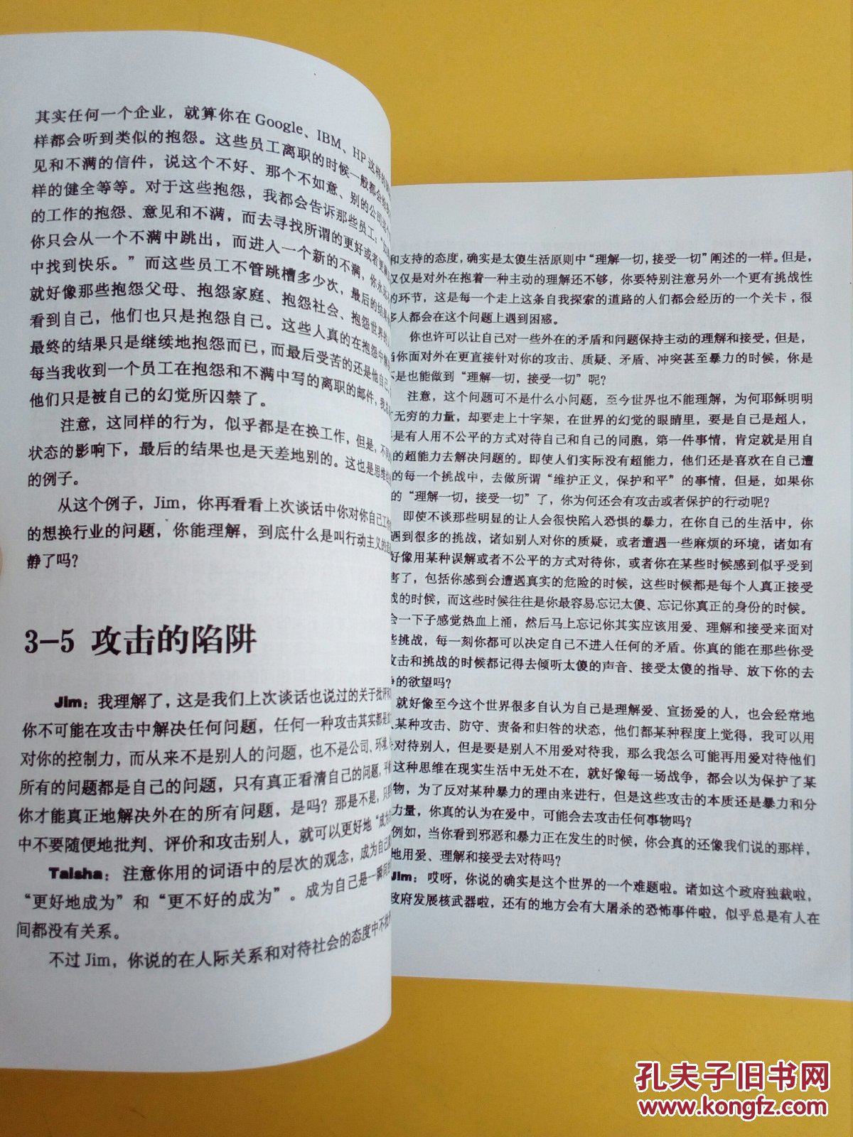 太傻天书复印本