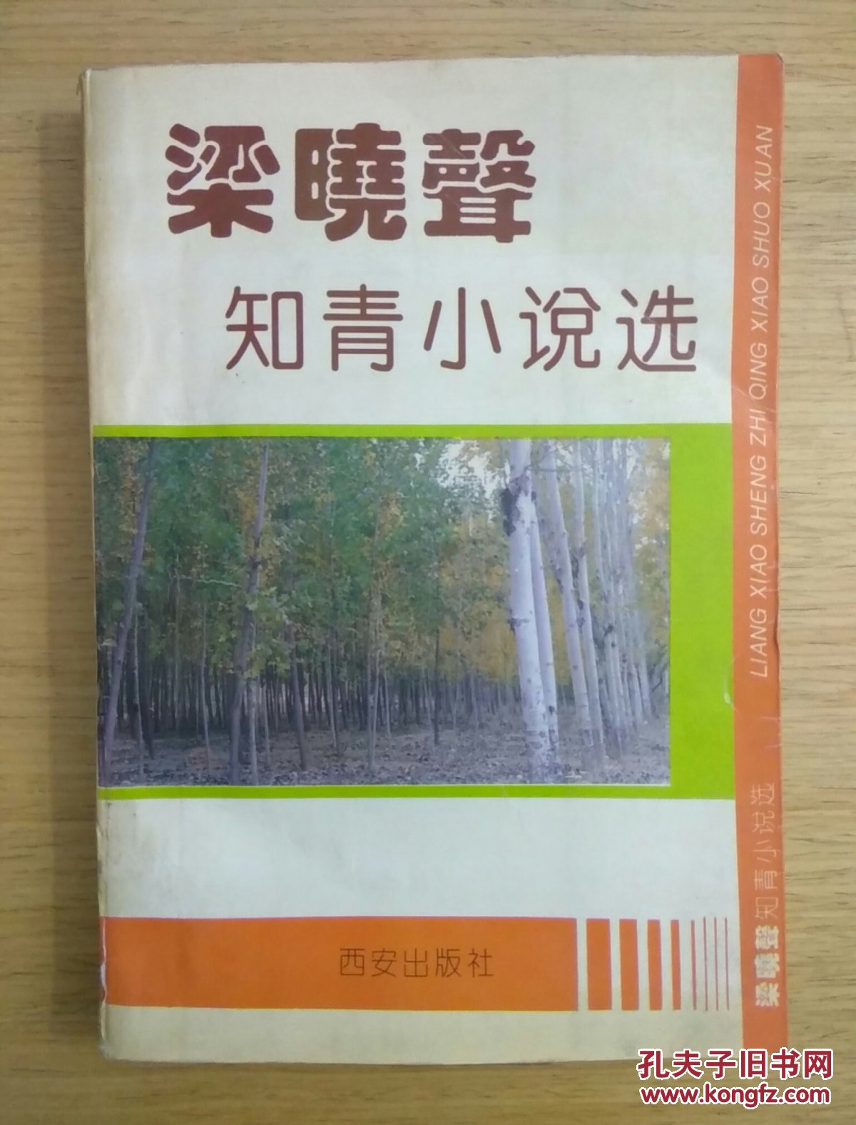 梁晓声知青小说选