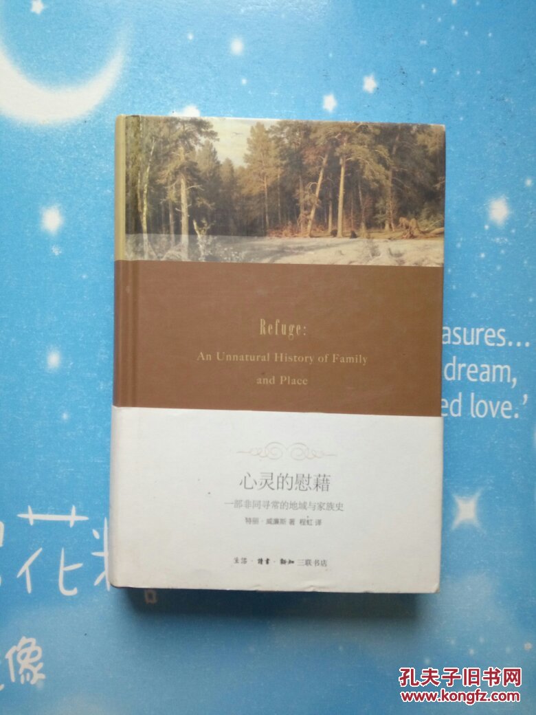 心灵的慰藉:一部非同寻常的地域与家族史【精装本】