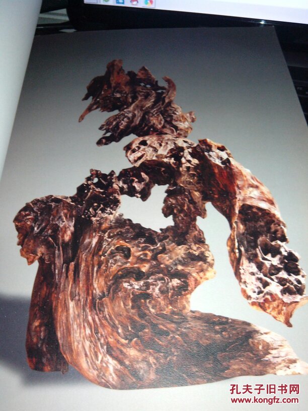 姜翔玲根艺 百鹰集