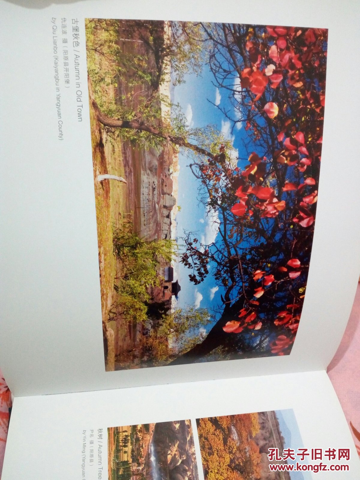 大好河山-中国张家口四季风光(国际)摄影大展作品选_赵迎新_孔夫子