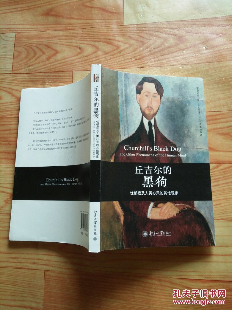 丘吉尔的黑狗——忧郁症及人类心灵的其他现象