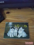 可爱的小猫 明信片（内含11张明信片）