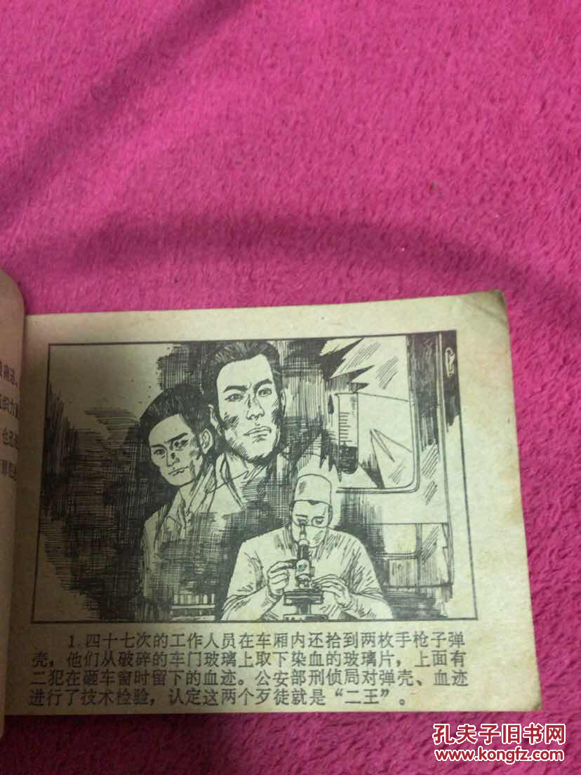 撒开法网 追捕二王之二