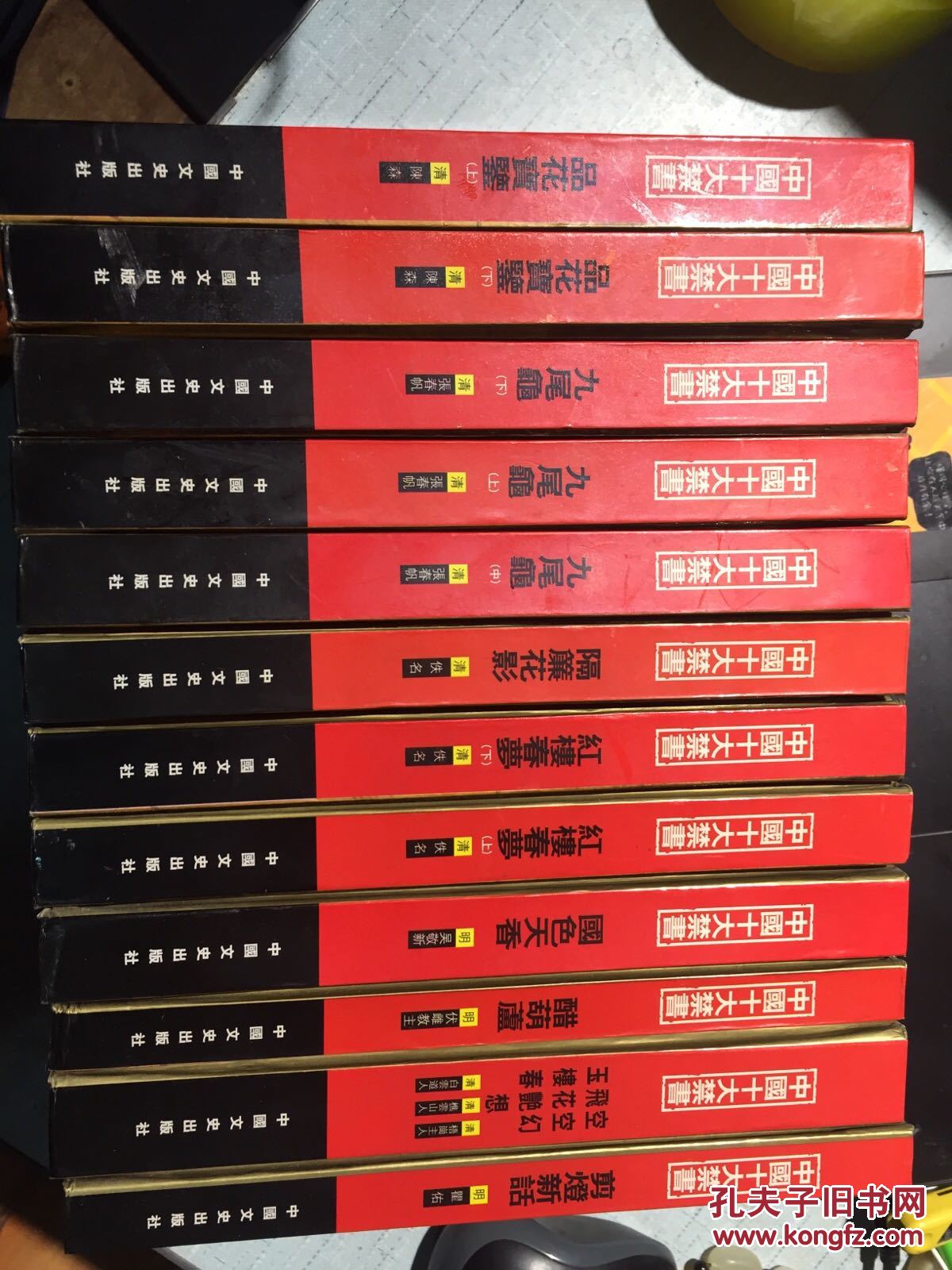 中国十大禁书(全12册)