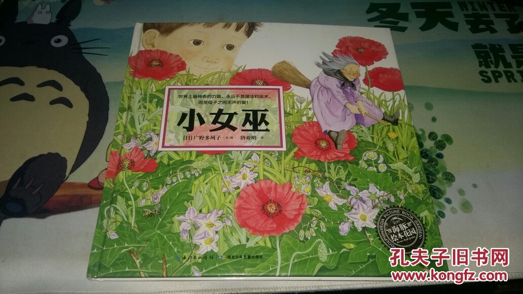 海豚绘本花园:小女巫 (精装绘本)