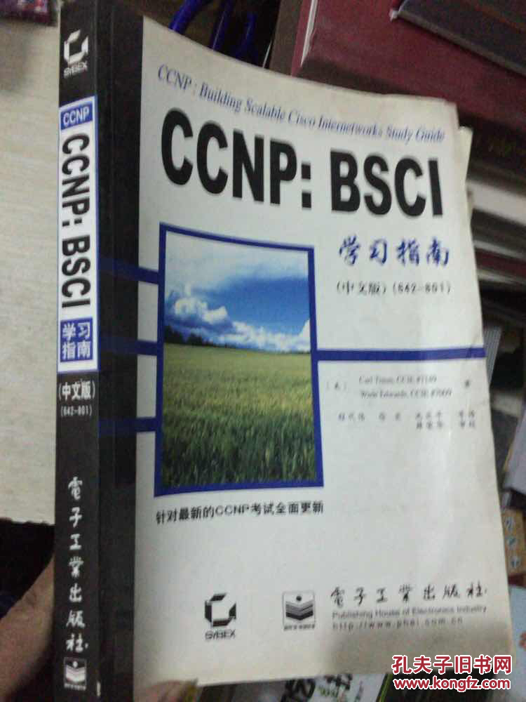 CCNP：BSCI学习指南（中文版）（642-801）