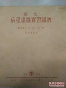 著色病理组织实习图谱(增订第四版)1936年（内有笔迹横16开）日文