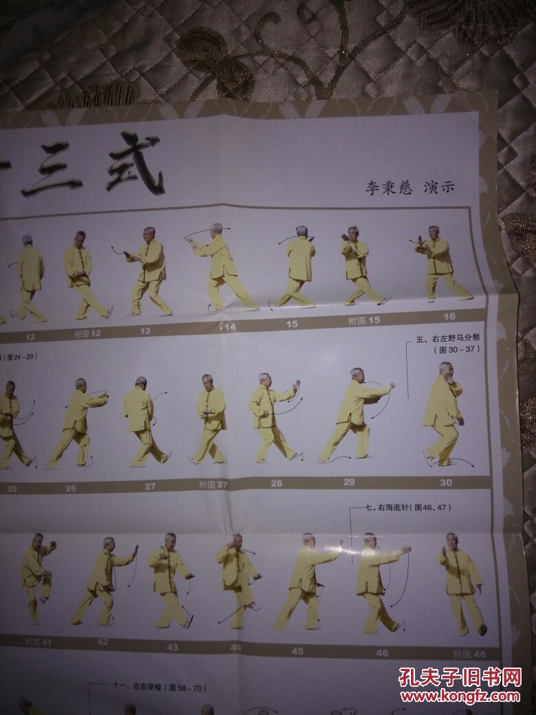 吴式太极拳十三式 挂图,演练图(李秉慈 演示)