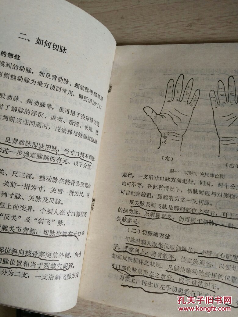 手握寸关尺个人资料-千图网