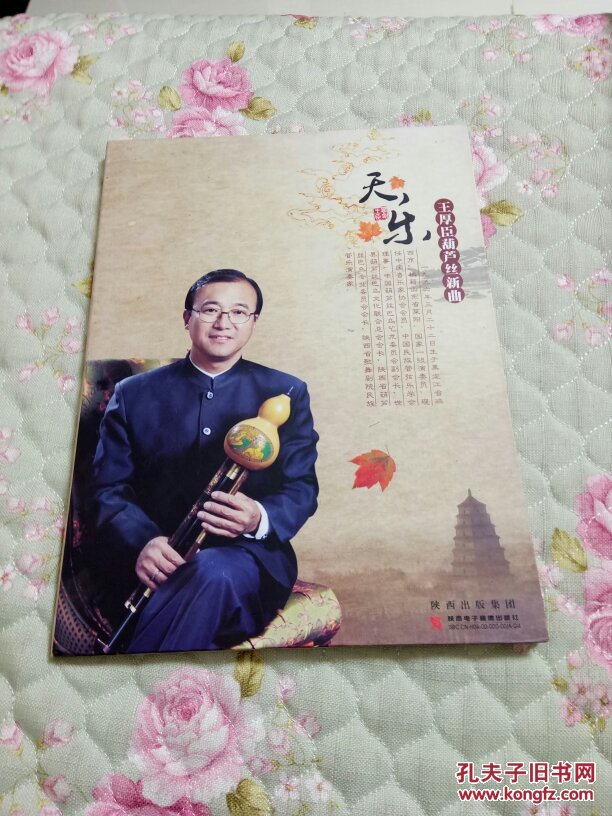 天乐王厚臣葫芦丝新曲