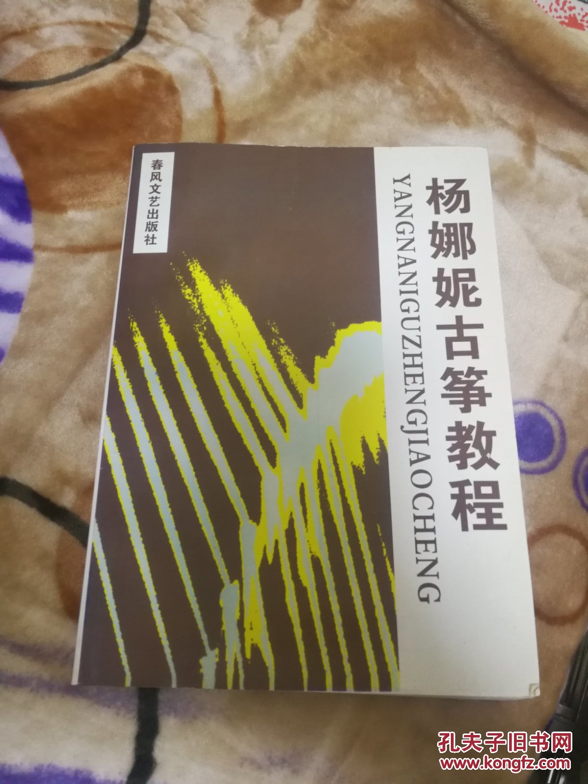 杨娜妮古筝教程