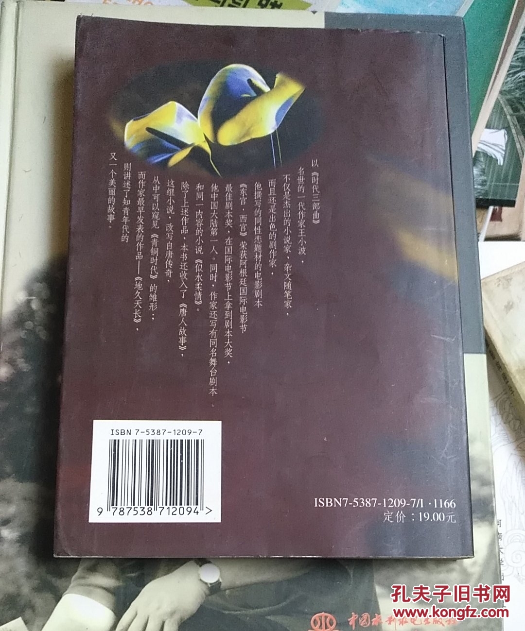 舅舅情人  辑二 似水柔情  1 地久天长  2 南瓜豆腐  3 夜里两点钟  4