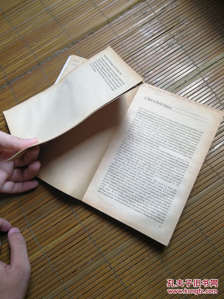 chaucer :the prologue