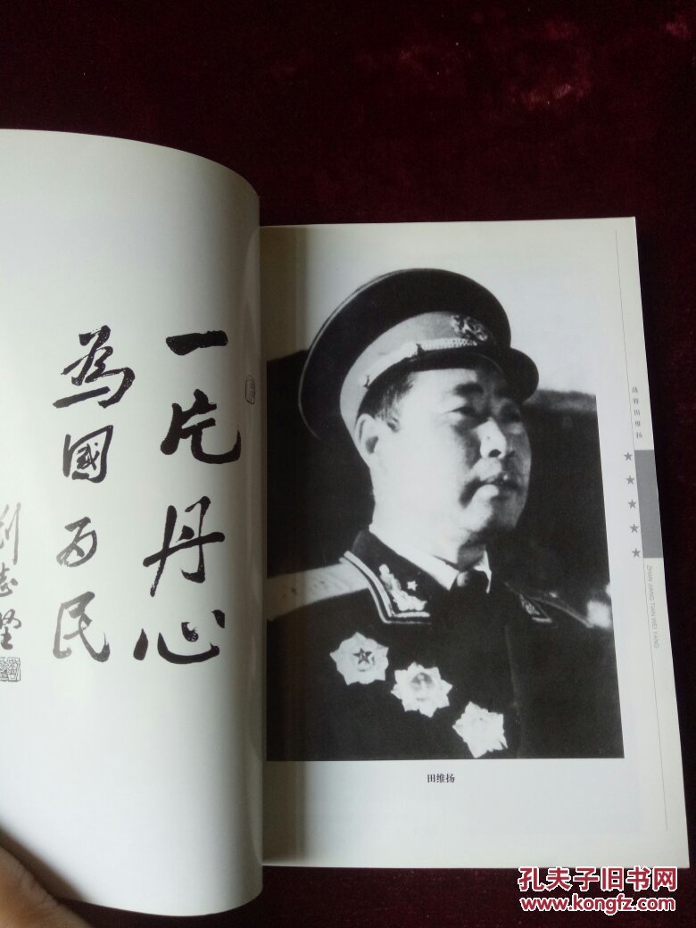 战将田维扬