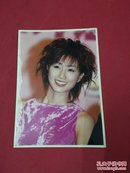 明星-酒井法子-照片一张
