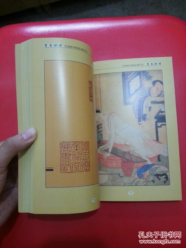 鸳鸯秘谱 (全新)