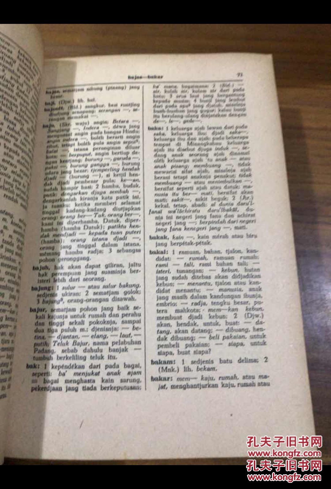 kamus modern bahasa indonesia kamus现代印度尼西亚语