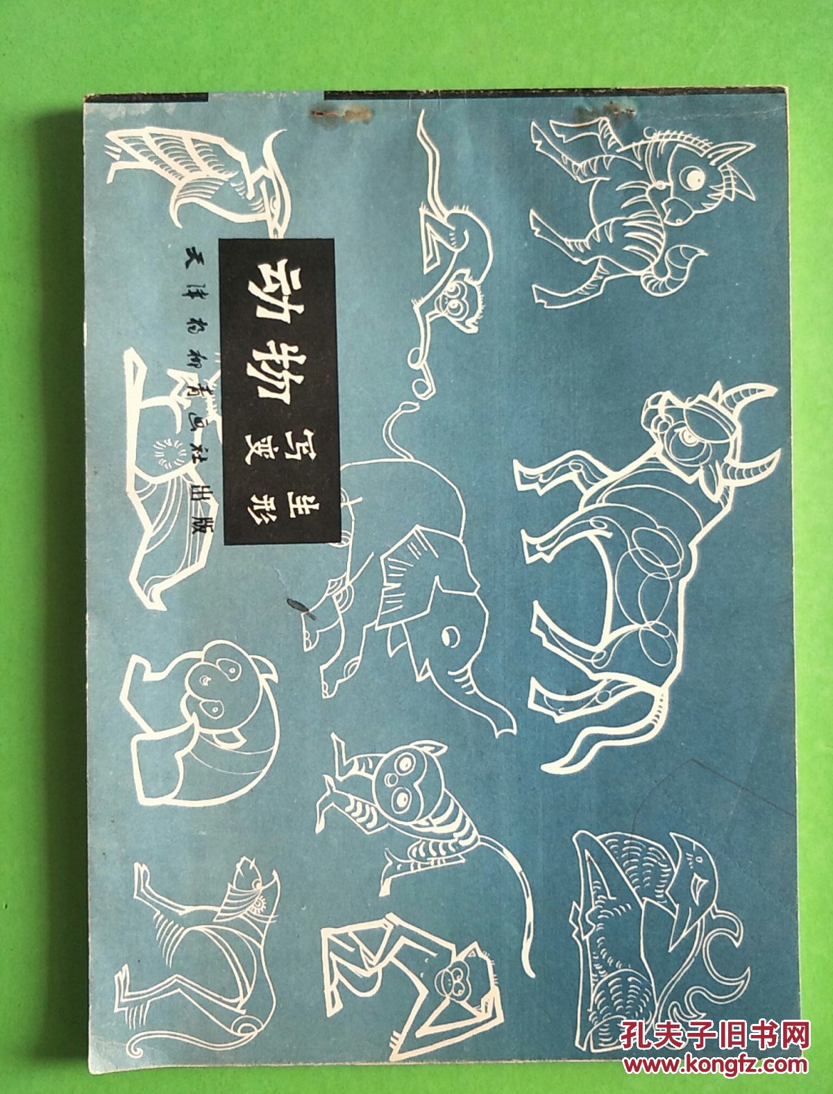 动物写生变形【c5】