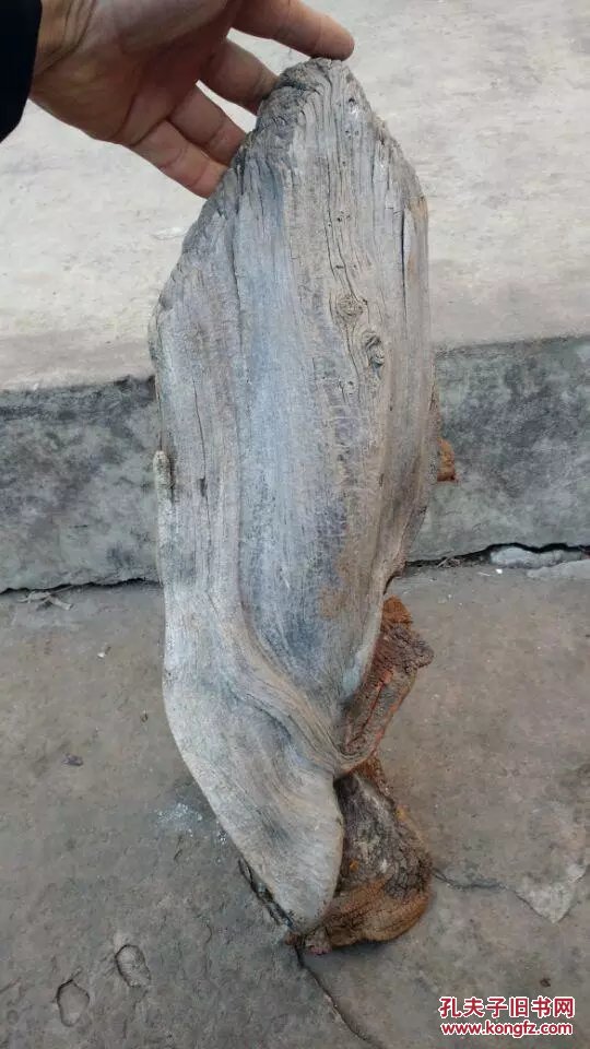 6斤太行崖柏白里透黑的骨料