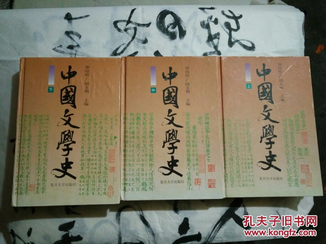 中国文学史(上中下册(36号)_章培恒,骆玉明主编_孔夫子旧书网