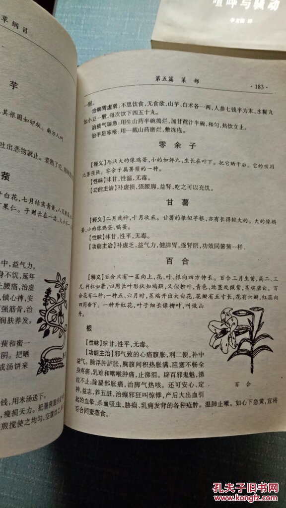 本草纲目_李时珍_孔夫子旧书网