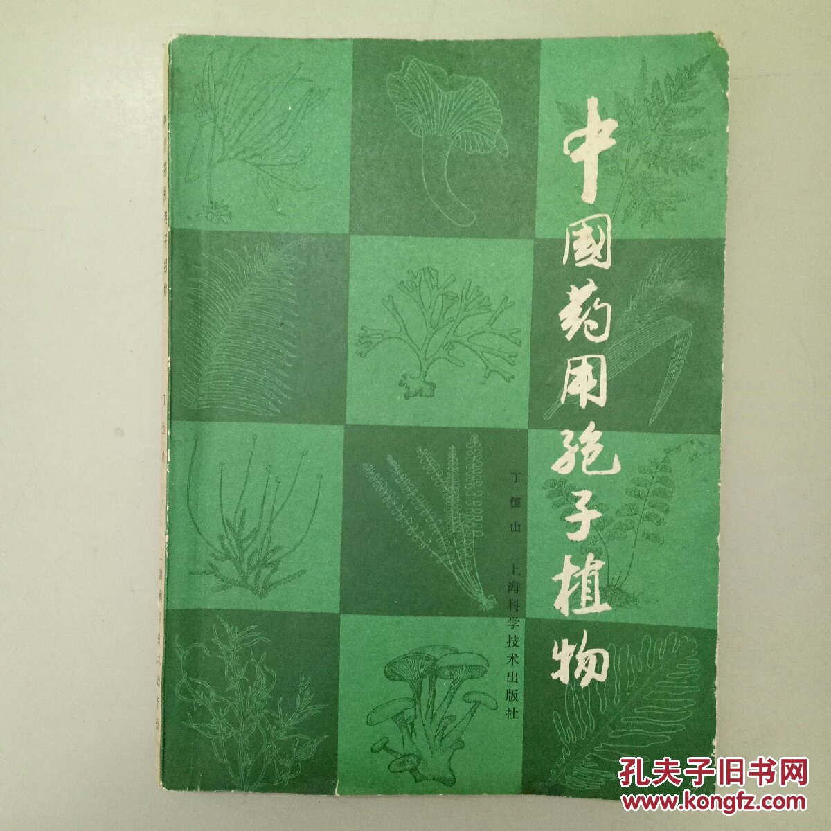 中国药用孢子植物(签赠本)
