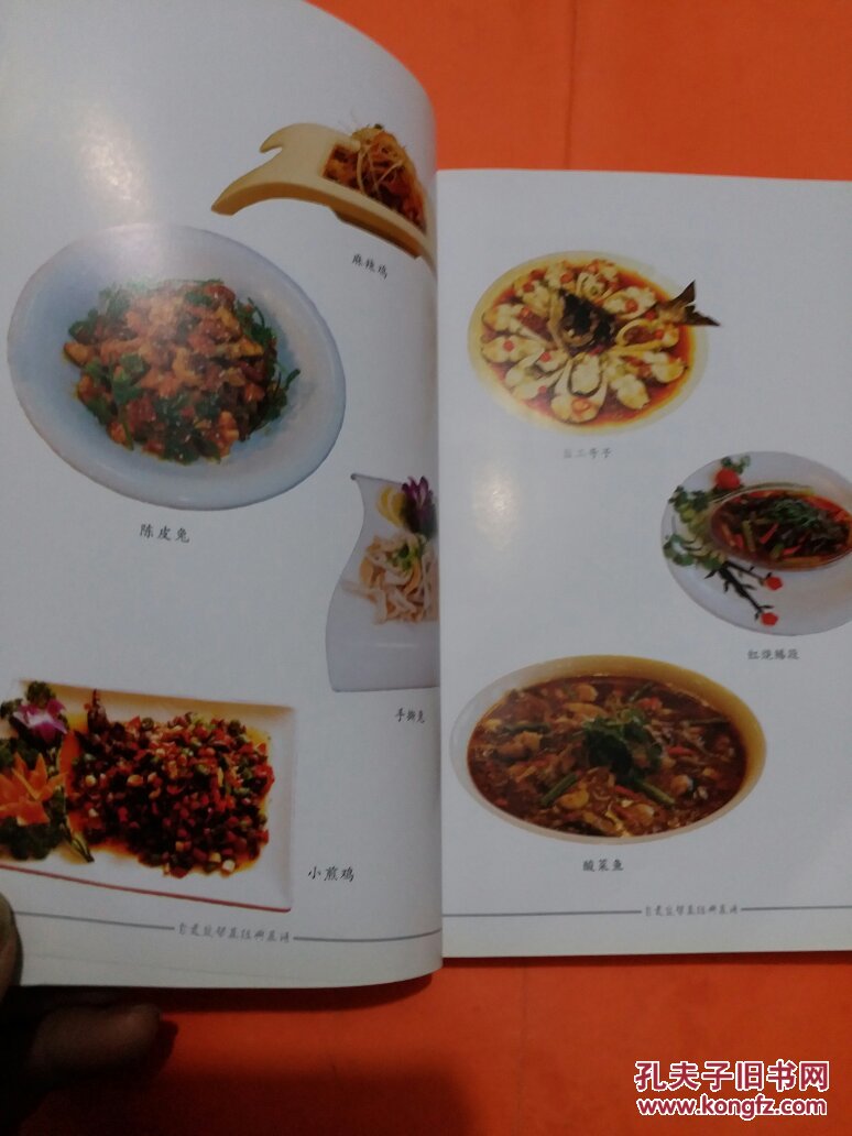 自贡盐帮菜经典菜谱(作者签名书)