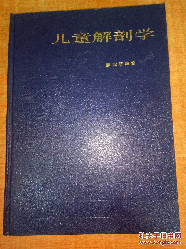 儿童解剖学