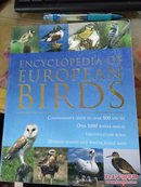 European Birds