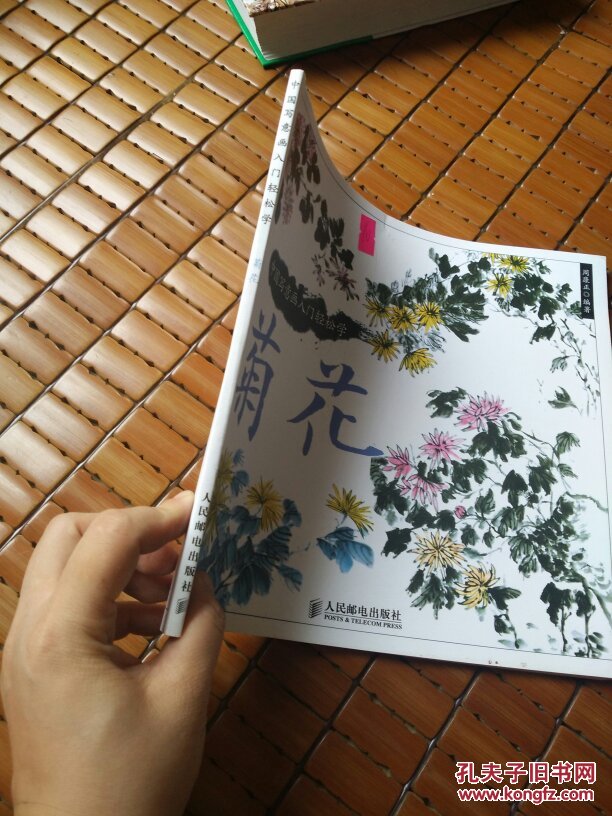 中国写意画入门轻松学:菊花