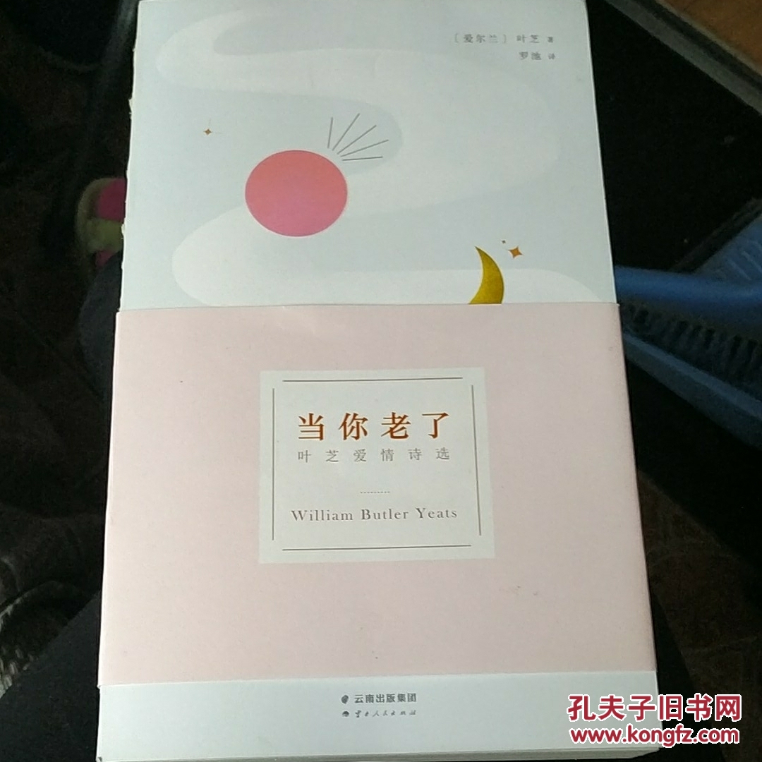 当你老了:叶芝爱情诗选