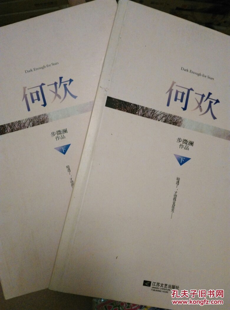 何欢(步微澜 著)_简介_价格_小说书籍_孔网