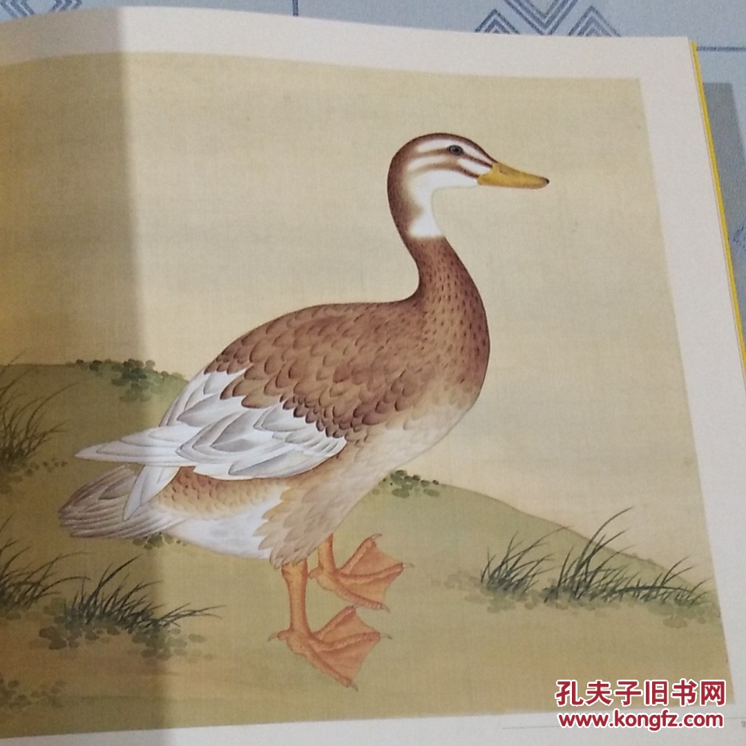故宫经典:清宫鸟谱