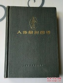 人体解剖图谱，