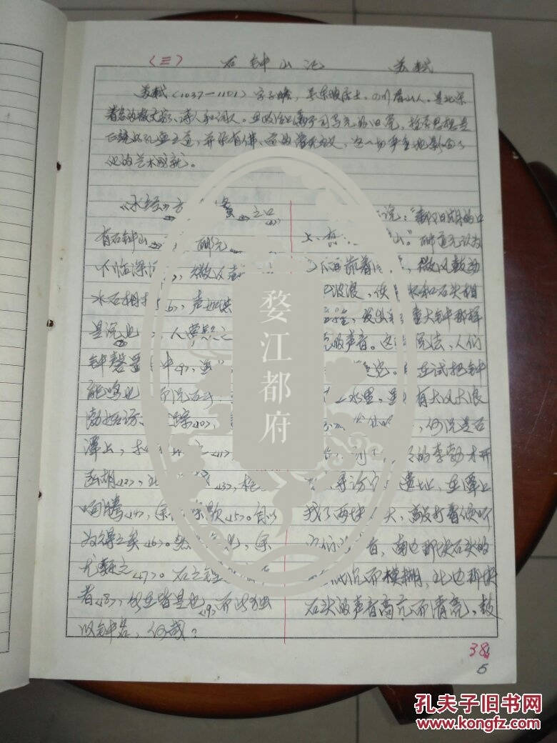 陈耀东手稿 《石钟山记》 讲稿26页