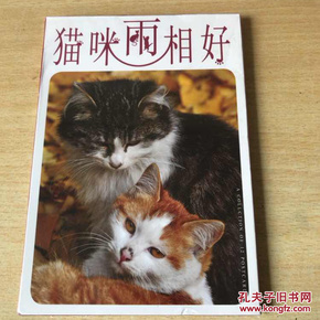 猫咪两相好 珍藏版 摄影明信片