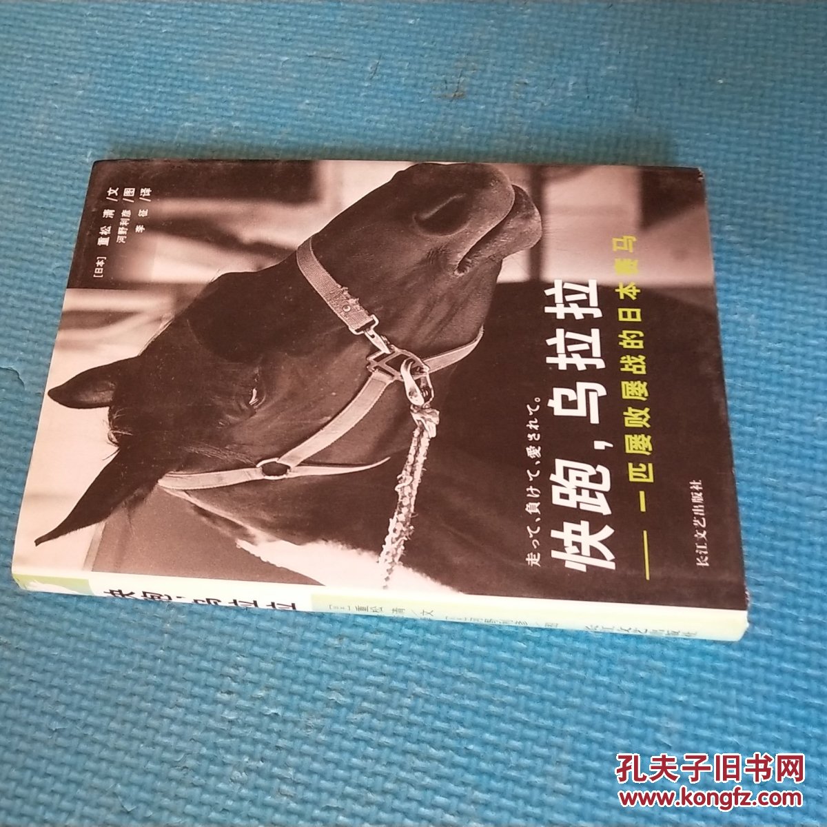 快跑,乌拉拉:一匹屡败屡战的日本赛马