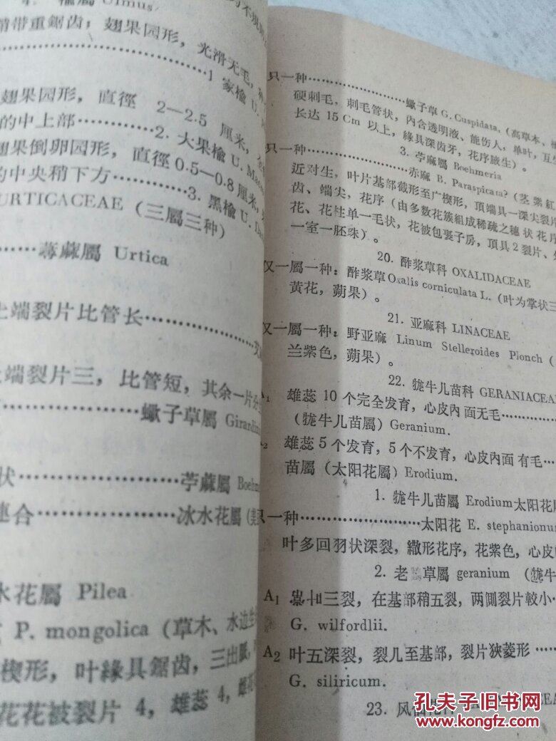 北京金山附近种子植物科属种检索表