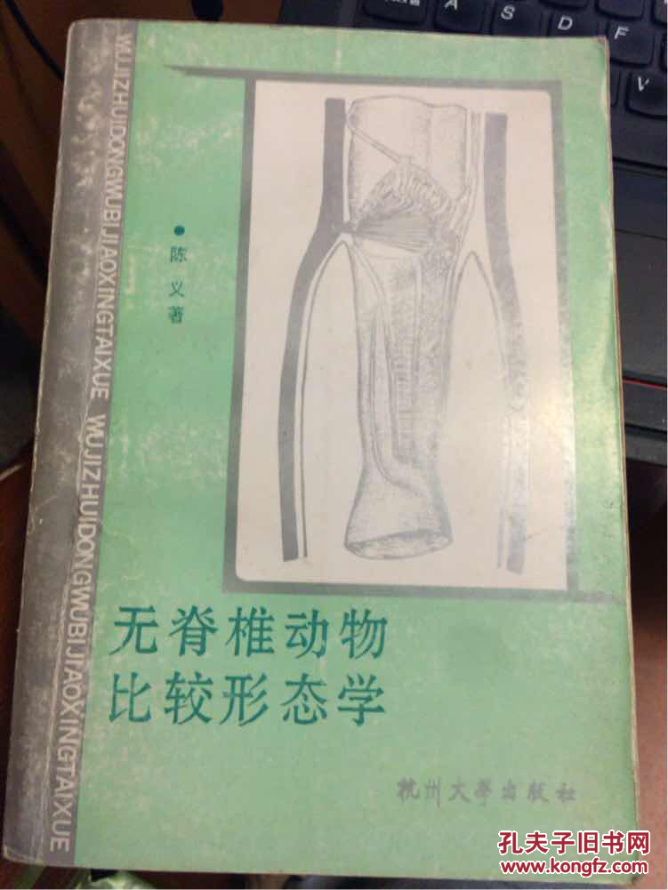 无脊椎动物比较形态学