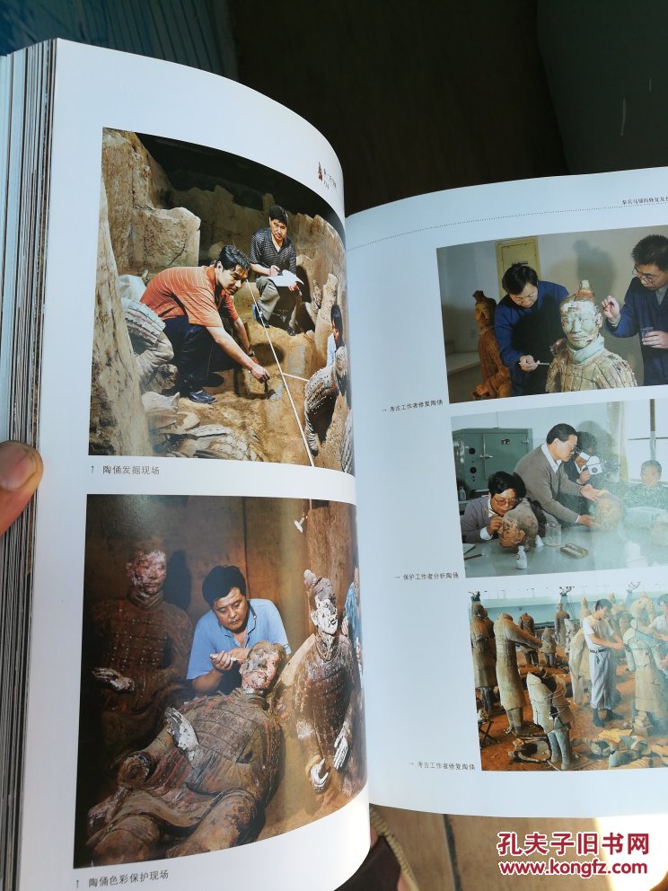 l:秦兵马俑 只有书一本(兵马俑发现者杨新满签名 16开)