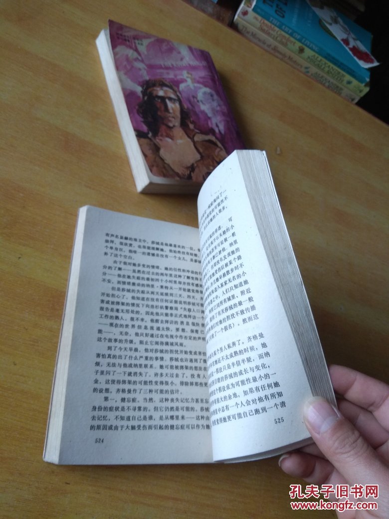 玫瑰梦 (上下册)