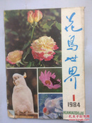 花鸟世界  1984年第1期