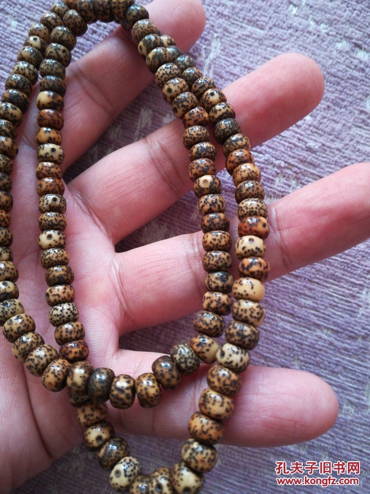 老星月珠子一条